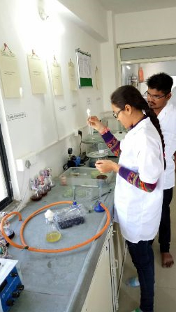 Laboratory Image